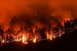 Un incendio forestal arrasó más de 800 hectáreas en California.