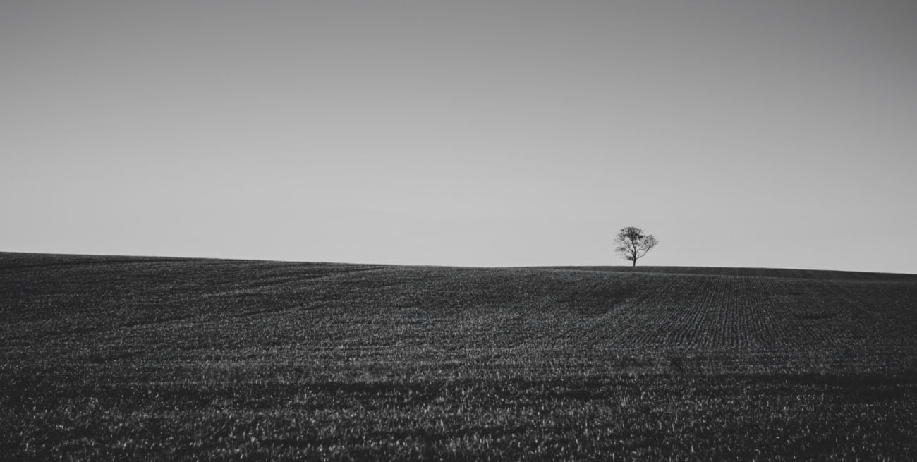"Miradas reveladas: la naturaleza expuesta"