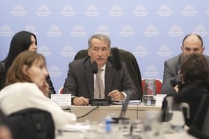 Nicolás Mayoraz (LLA), presidente de la comisión de Asuntos Constitucionales de la Cámara de Diputados.