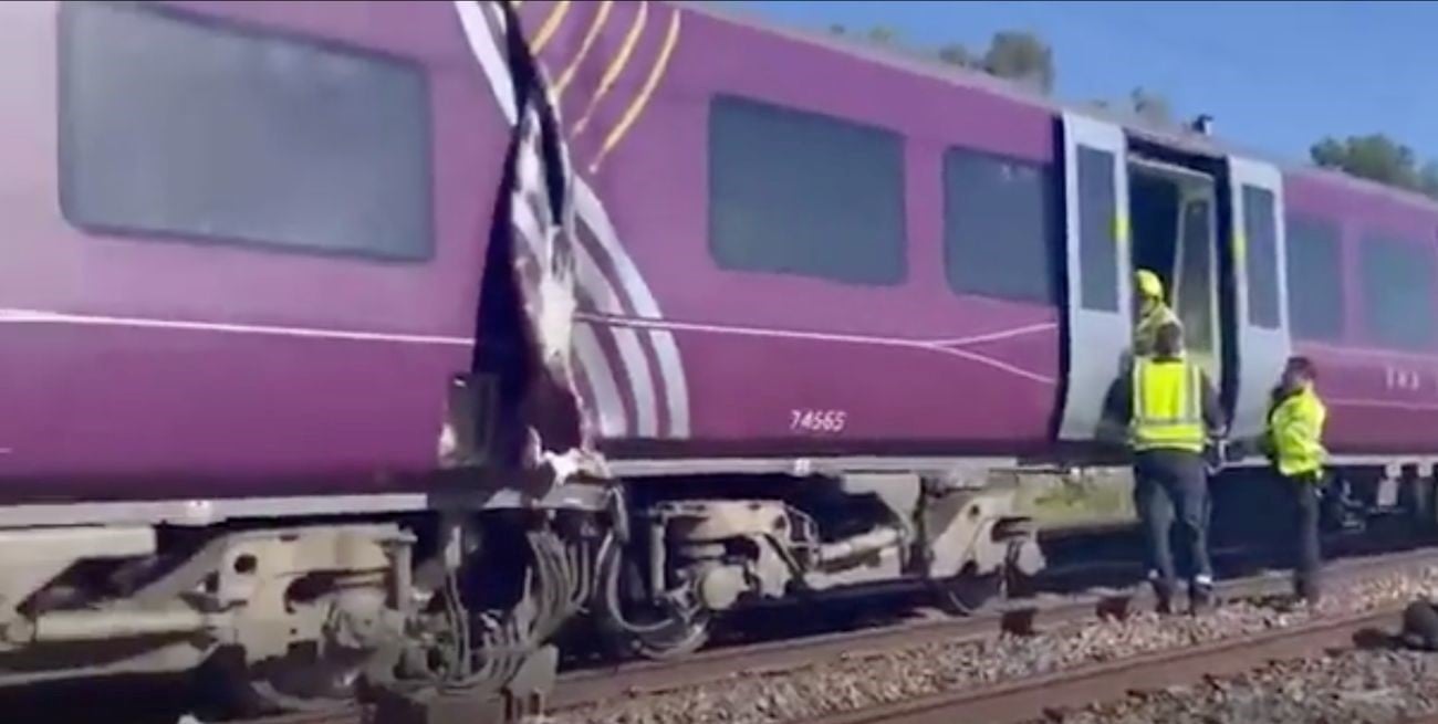 Inglaterra: chocaron dos trenes de pasajeros y reportan múltiples heridos