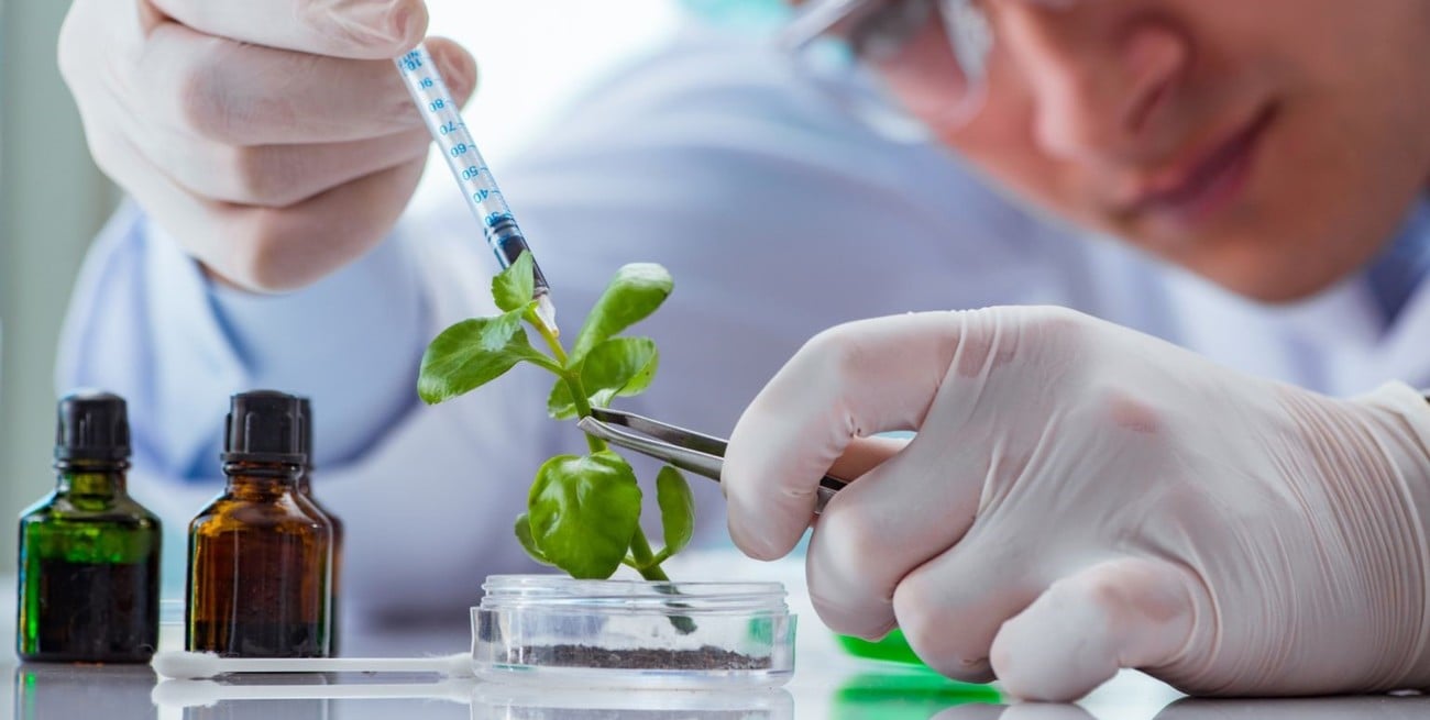 El Gobierno eliminó restricciones para patentes en biotecnología: qué significa