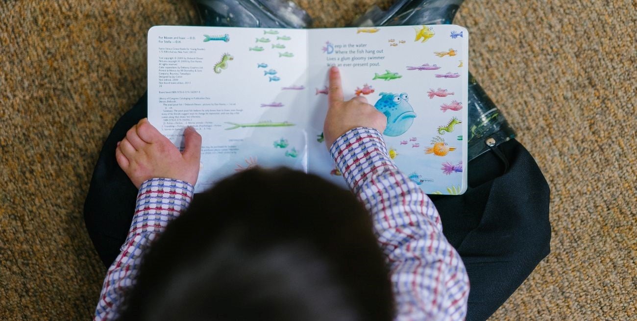 Noruega frena la inteligencia artificial en primarias y financia el regreso de los libros impresos