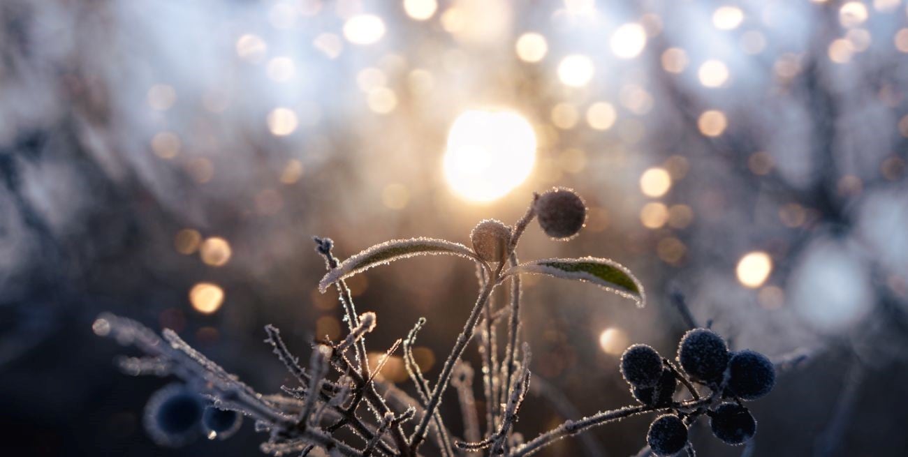 Solsticio de invierno 2026: por qué este domingo comienza la estación más fría del año en Argentina