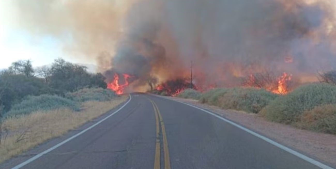 Incendios en Cafayate: la Justicia investiga si los focos fueron provocados de manera intencional