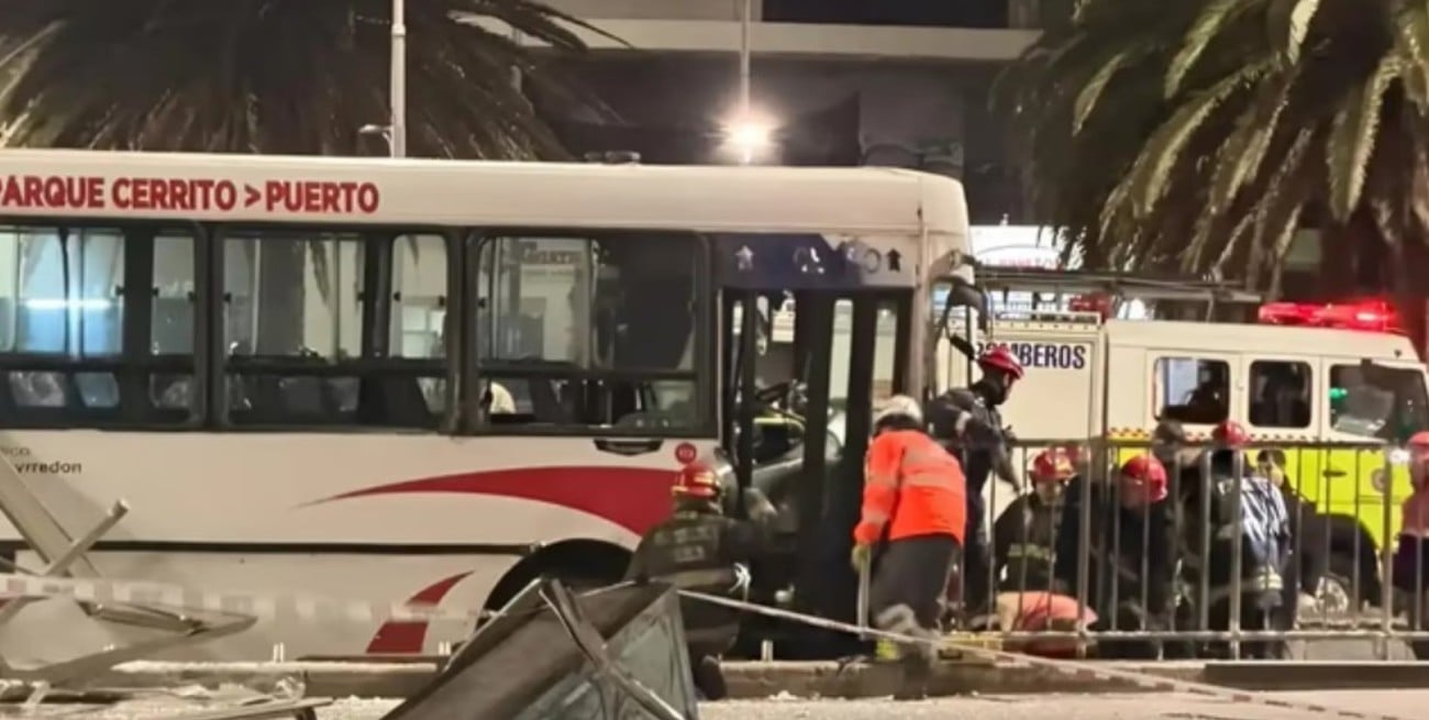 Declaró el chofer del colectivo que atropelló y mató a una joven en Mar del Plata