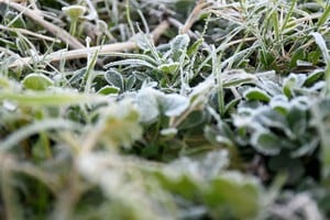 Temperaturas bajo cero en distintos puntos del país.  clima Frio Créditos: Flavio Raina