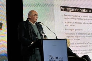 FISFE planteó una estrategia de agregado de valor para aprovechar el acuerdo UE-Mercosur. Foto: El Litoral