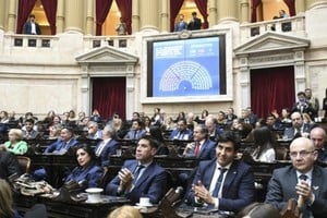 La Cámara de Diputados dio media sanción al “Súper RIGI”