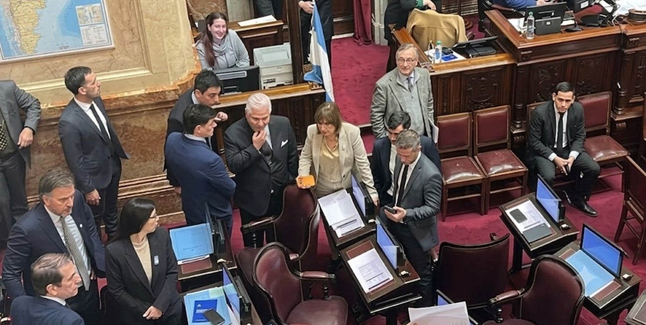 Debate y movilización: el Senado vuelve del receso con la Ley de Tierras en la mira
