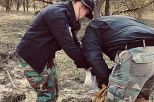 Equipos K9 especializados con canes de búsqueda, drones y demás recursos logísticos están afectados al operativo.