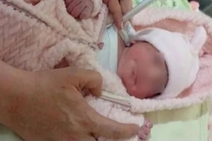 En plena efervescencia mundialista y con las emociones a flor de piel por un nuevo aniversario del ídolo popular, la familia marplatense selló su amor por los colores nacionales en el documento de su hija.