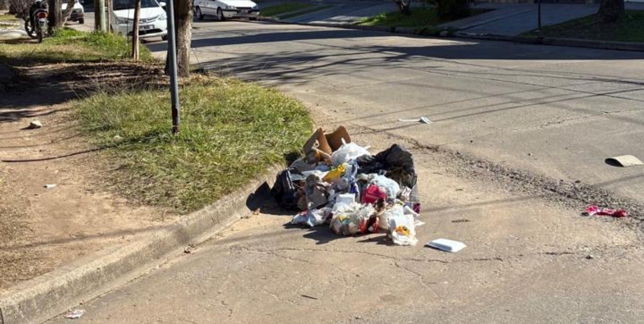 Basura acumulada en San Martín y Llerena de la ciudad de Santa Fe 