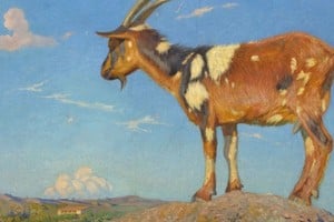 Fragmento de "Cabrita serrana", de Cordiviola. Foto: Museo Nacional de Bellas Artes