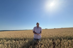 “Dejar pasar esta oportunidad sería, una vez más, un costo demasiado alto”.