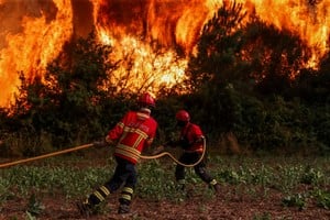 Portugal: el fuego calcinó unas 13.000 hectáreas en apenas tres días. Foto: Reuters.