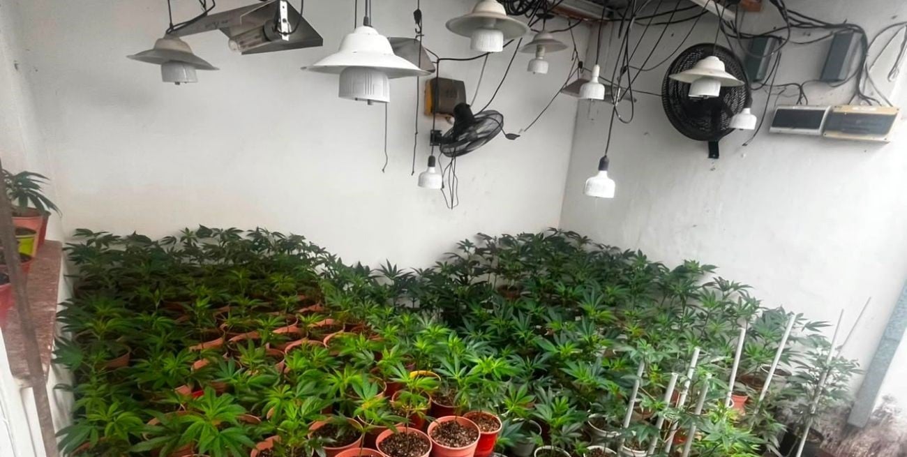 Un incendio dejó al descubierto una plantación de cannabis en una vivienda de Santa Fe