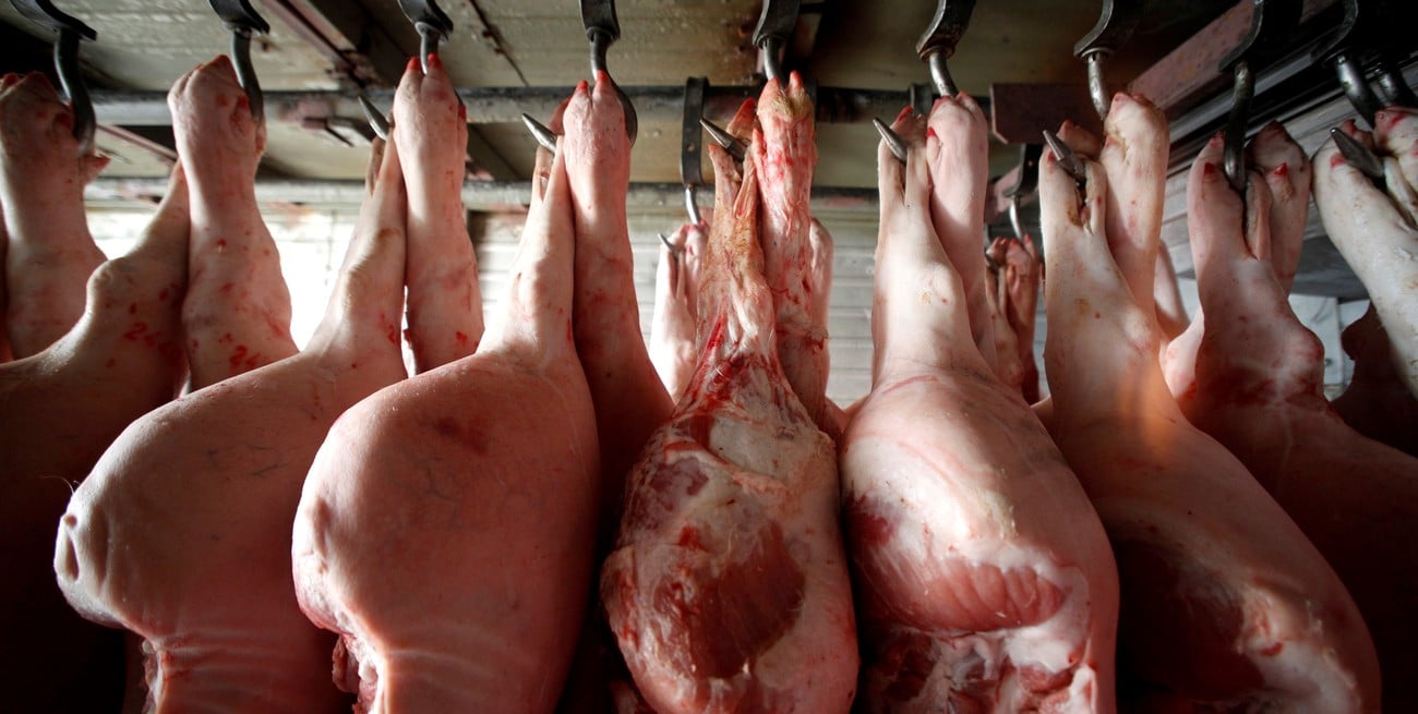 Las exportaciones de carne porcina crecieron más de 150% en valor durante los primeros cinco meses del año