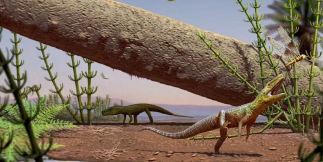 Hallaron un fósil de 240 millones de años que revela el origen de los grandes reptiles