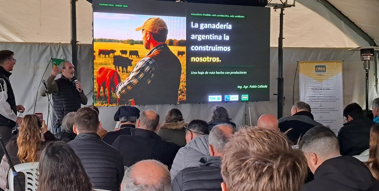 Una hoja de ruta para el futuro de la carne argentina: presentan el proyecto Ganadería Posible