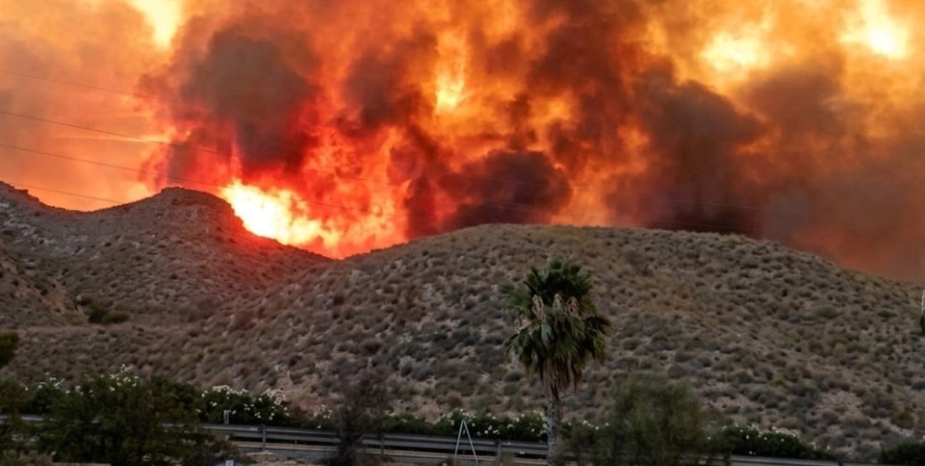 Incendios forestales en España: más de 200 bomberos combaten dos grandes focos en Andalucía