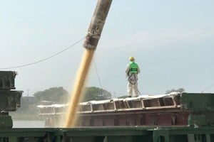 Las exportaciones agropecuarias marcaron un récord histórico hasta agosto