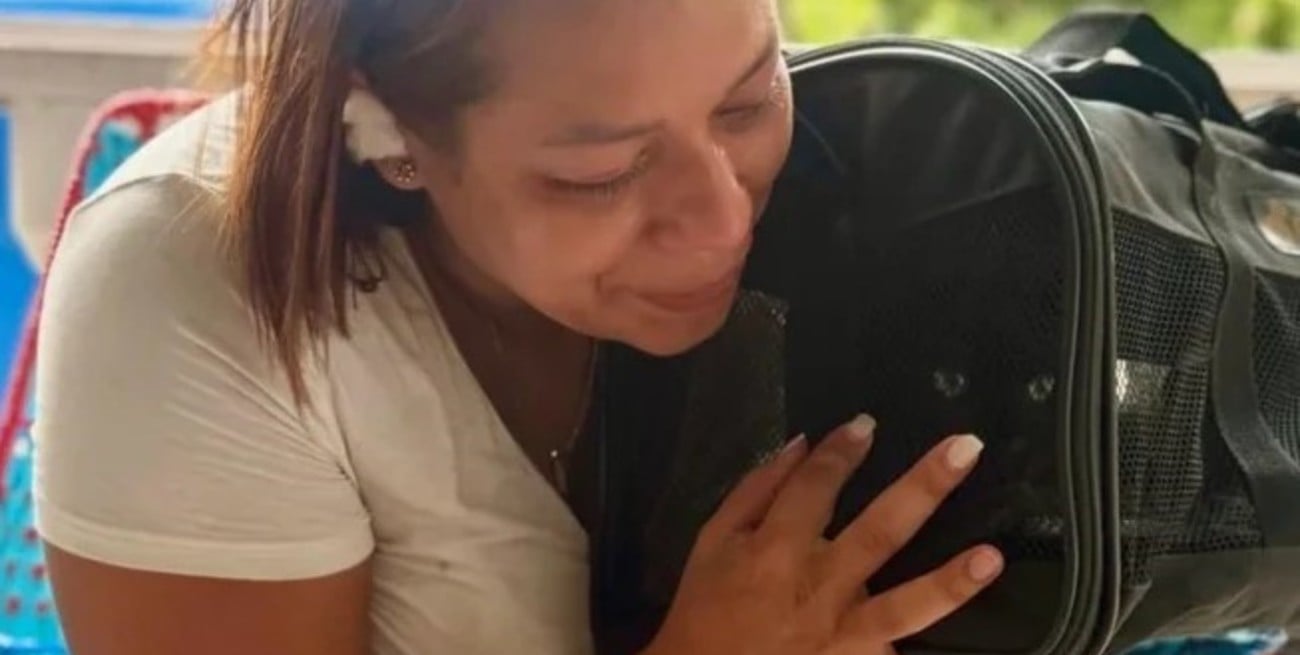 Venezuela: más de 600 mascotas fueron rescatadas entre los escombros tras los terremotos