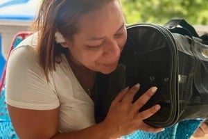 Al menos 648 animales de compañía (entre perros y gatos) han sido rescatados en La Guaira.