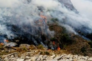 El incendio forestal  afecta la zona serrana de Estancia Grande, en la provincia de San Luis.