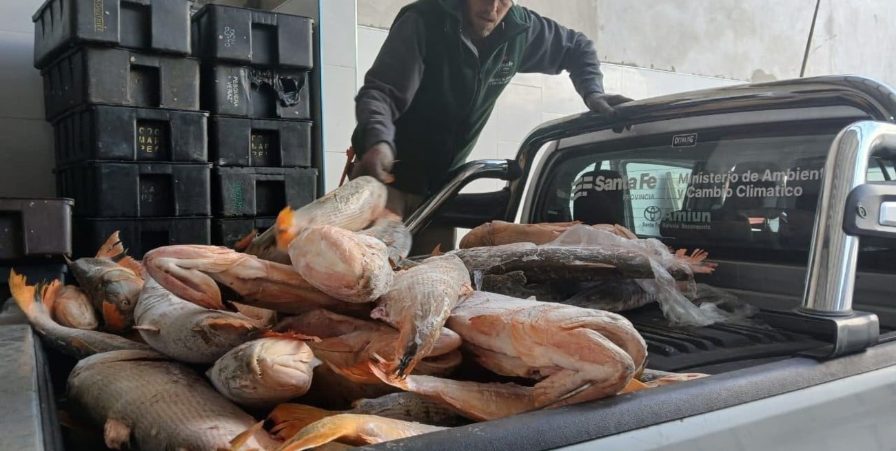 Secuestran 15 toneladas de pescado ilegal y detienen a tres organizadores de caza clandestina
