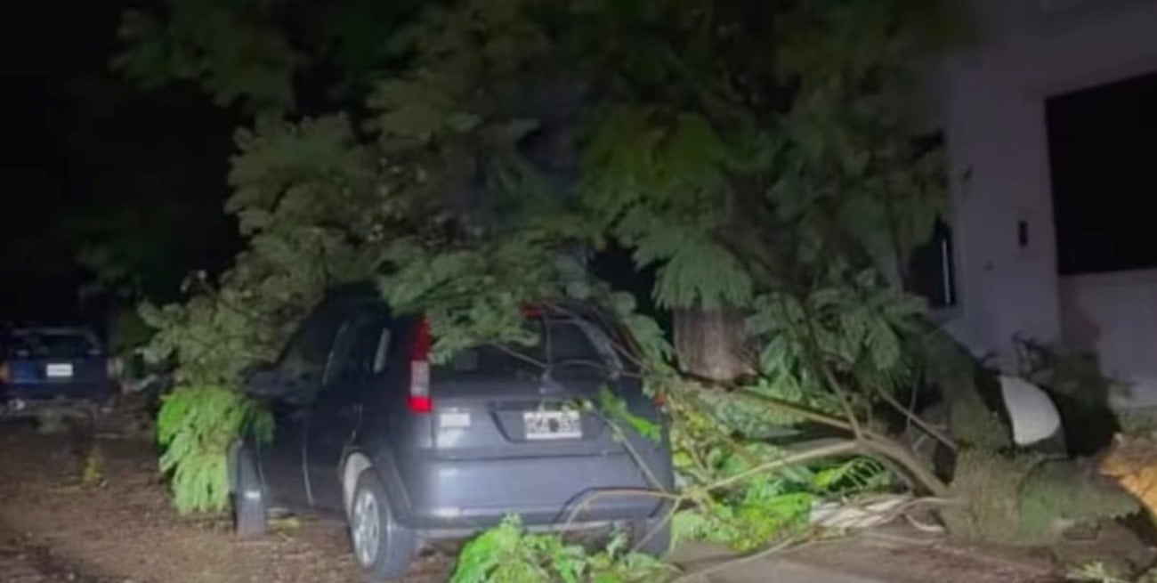 Una mujer murió aplastada por un árbol que cayó sobre su vivienda durante un temporal en Entre Ríos