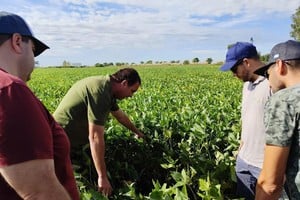 Durante años, gran parte de la discusión estuvo centrada en el producto. Hoy, el desafío pasa por definir cómo, cuándo y con qué herramientas intervenir cada lote.