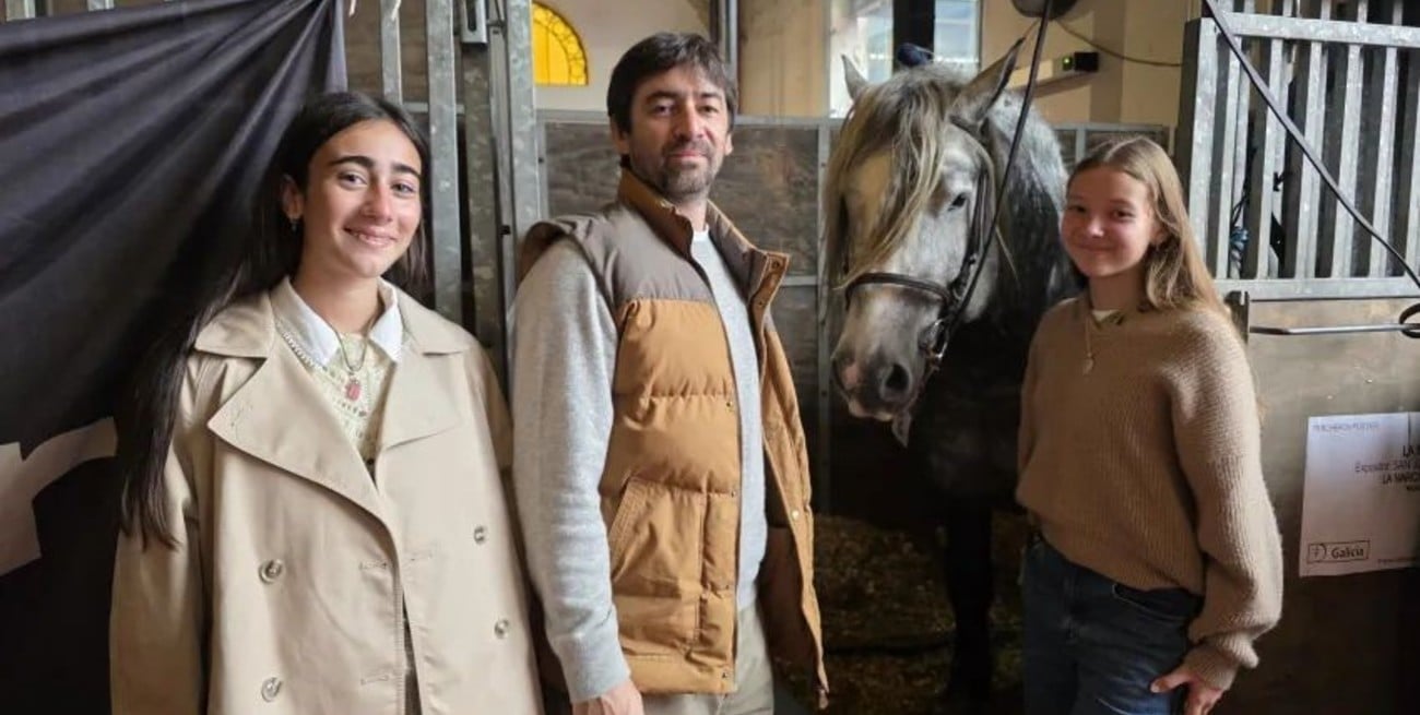 Percherón: el gigante de los caballos que conquista Palermo por su mansedumbre
