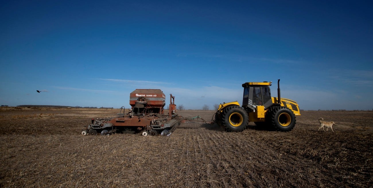 El trigo superó las expectativas: finalizó la siembra con 462.500 hectáreas en el centro norte santafesino