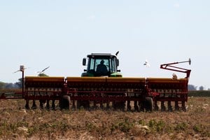 Los datos demuestran que durante el período de barbecho largo se perdieron por evaporación directa y percolación profunda entre 271 y 409 mm de agua.