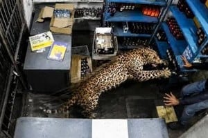 El hombre logró escapar junto con un compañero y ambos bajaron la persiana