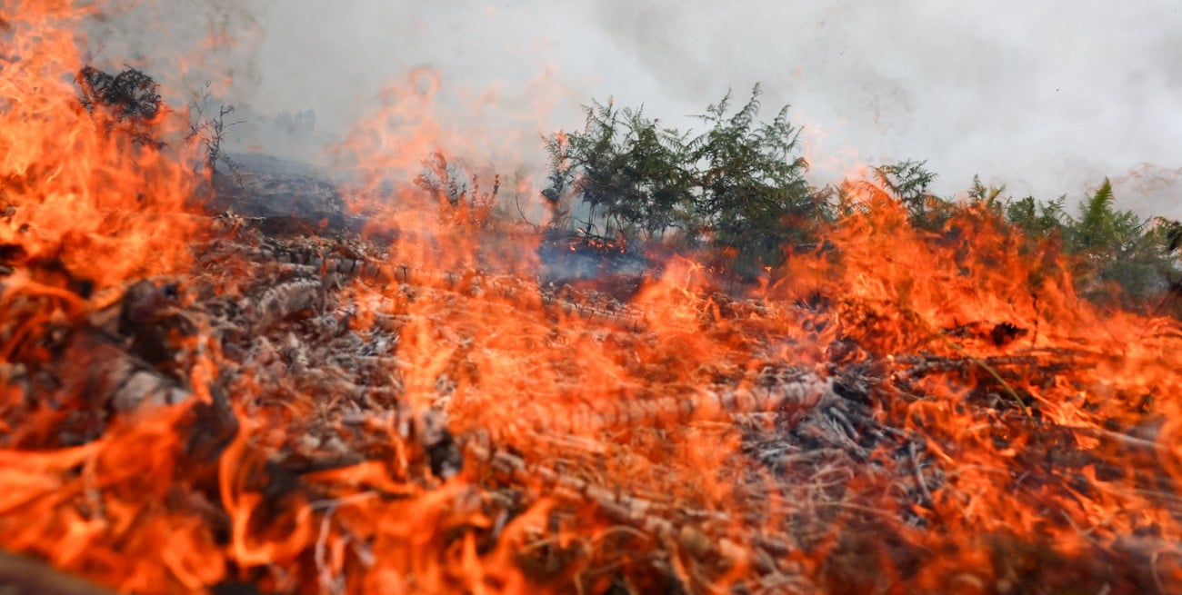 Incendios en el sur de Francia: el fuego amenaza zonas turísticas y preocupa a los productores 