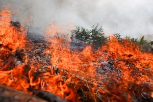 El sur de Francia enfrenta una nueva emergencia por incendios forestale Créditos: REUTERS/Abdul Saboor