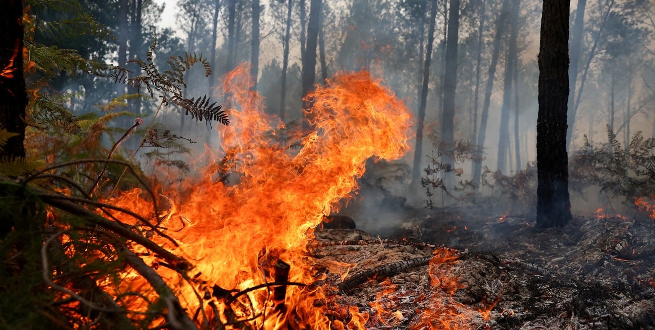 Europa bajo el fuego: Francia marca un récord de incendios y España supera las 126.000 hectáreas quemadas