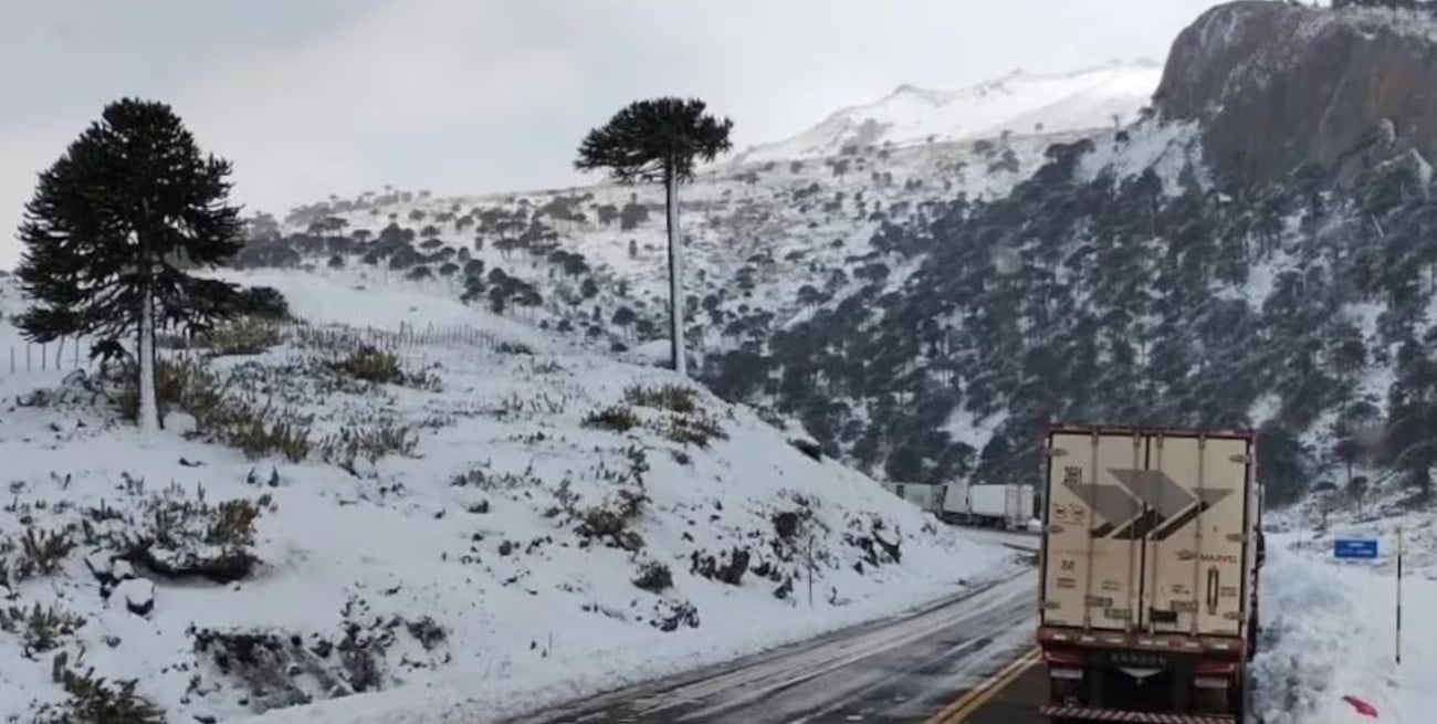 Murió un camionero mientras esperaba cruzar a Chile por el paso Pino Hachado