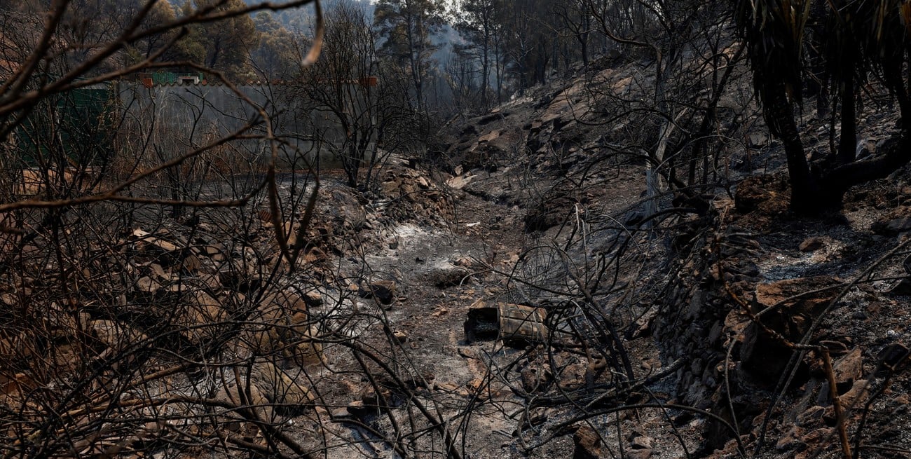 Estiman un costo de hasta 3.275 millones de euros en tareas de extinción de los incendios en España