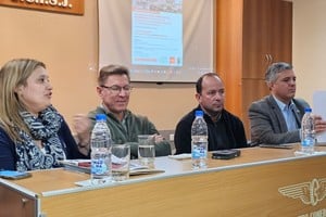 Borla mantiene una permanente interacción, gestión y coordinación de actividades.