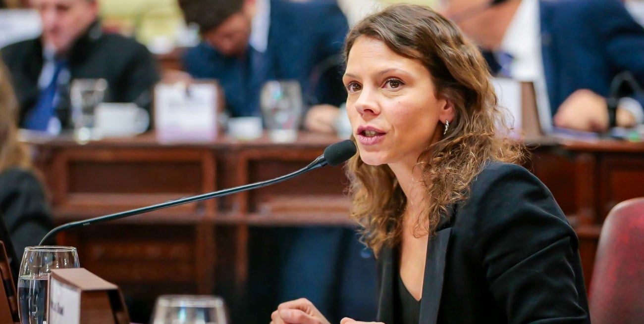 Gisel Mahmud: “El crédito ya no es para progresar, es para sobrevivir”
