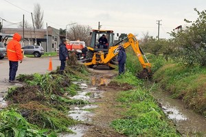 El SIBER proyectó una reducción del 20% en la superficie arrocera de Entre Ríos