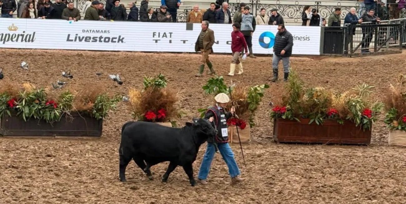 Con apenas 17 años, cumplió el sueño de presentar un Brangus en la pista de la Exposición Rural