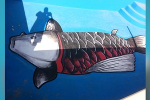 Un sábalo gigante y el escudo de Colón, en el fondo de la pileta de la quinta decomisada. 