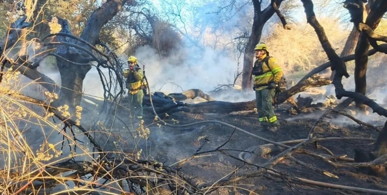 Incendios en Cafayate: prohibieron modificar el predio donde investigan focos intencionales