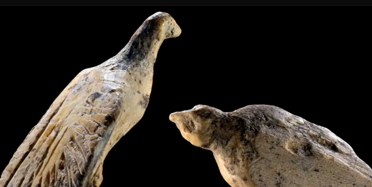 "Hallazgo del año": encontraron dos pequeñas aves de marfil de 40.000 años