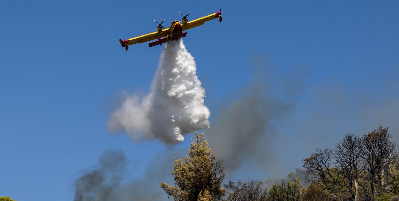 Fiscalías ambientales cuestionan la reforma por su posible regresión en materia ambiental