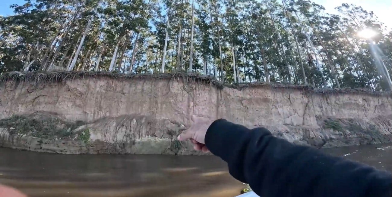 Heroico rescate de unos pescadores a un perro que encontraron atado en la barranca del río Paraná