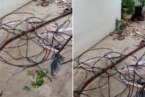 Un camión que circulaba por Zavalla al 6100 enganchó el tendido eléctrico